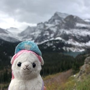 Meet your Posher, Annie